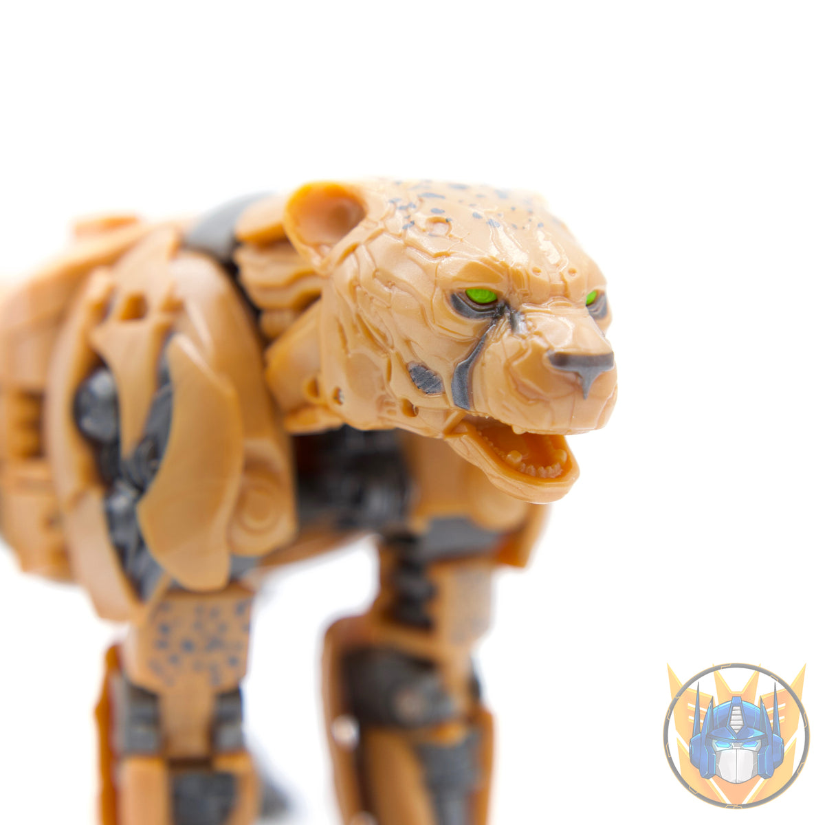 Cheetor Voyager Class 16,5cm Studio Series 98