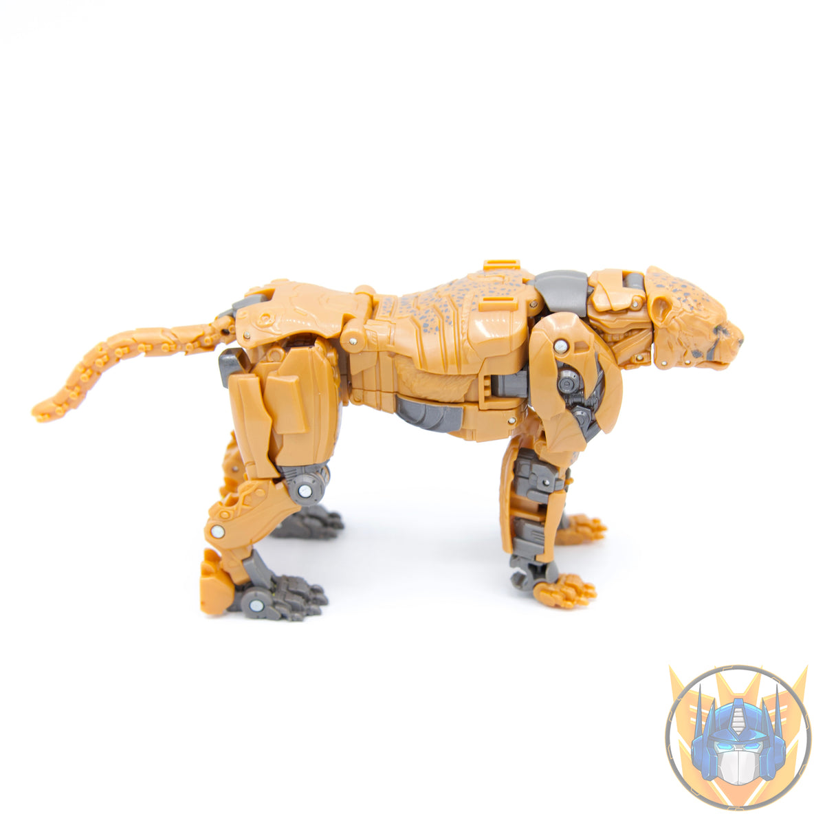 Cheetor Voyager Class 16,5cm Studio Series 98