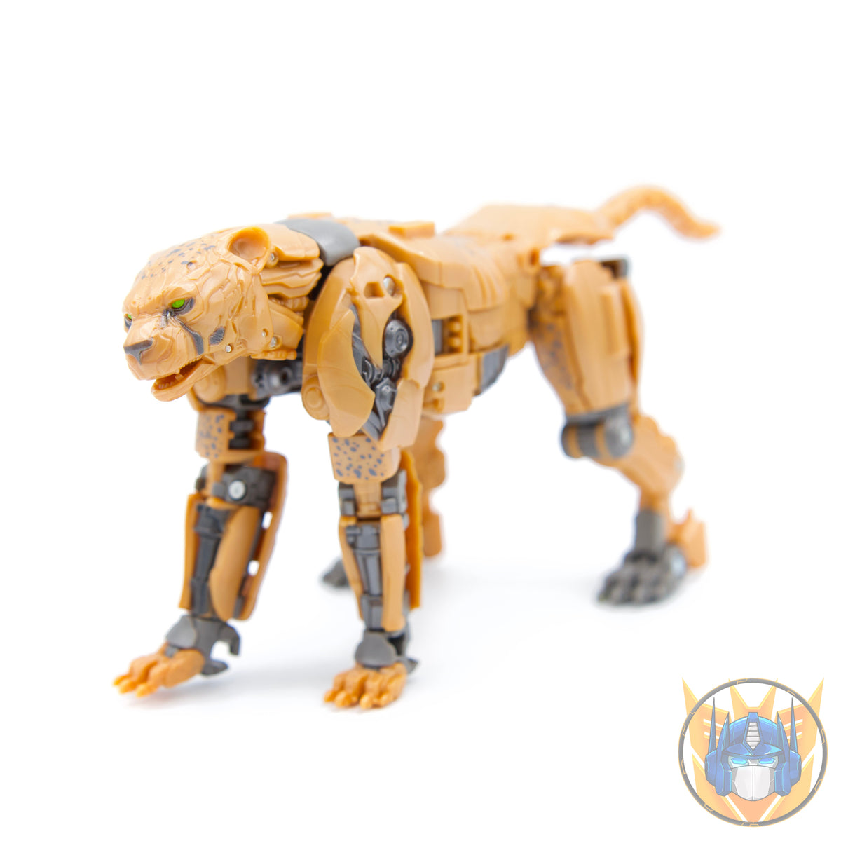 Cheetor Voyager Class 16,5cm Studio Series 98